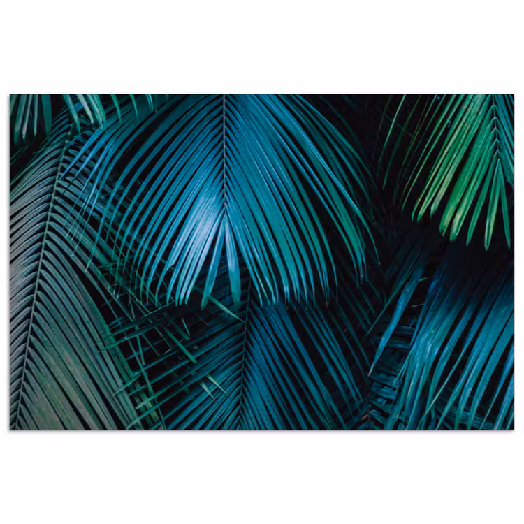 Bladeren - Tropisch - Jungle - Natuur poster papier klein -3d