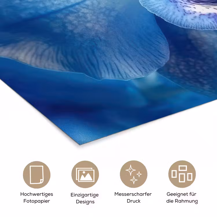 Blauw - Orchidee - Elegeant poster papier klein -tcloseup_DE