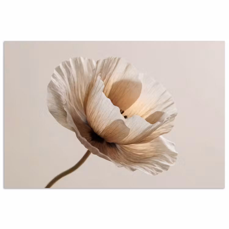 Bloem - Beige - Crème poster papier klein -3d