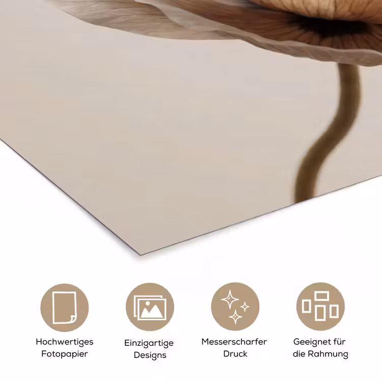 Bloem - Beige - Crème poster papier klein -tcloseup_DE
