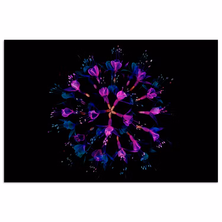 Bloem - Paars - Blauw - Macro - Zwart poster papier klein -3d