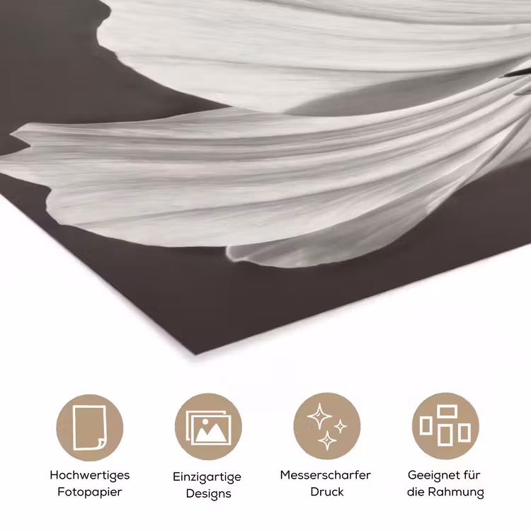 Bloem - Minimalistisch - Zwart - Wit poster papier klein -tcloseup_DE