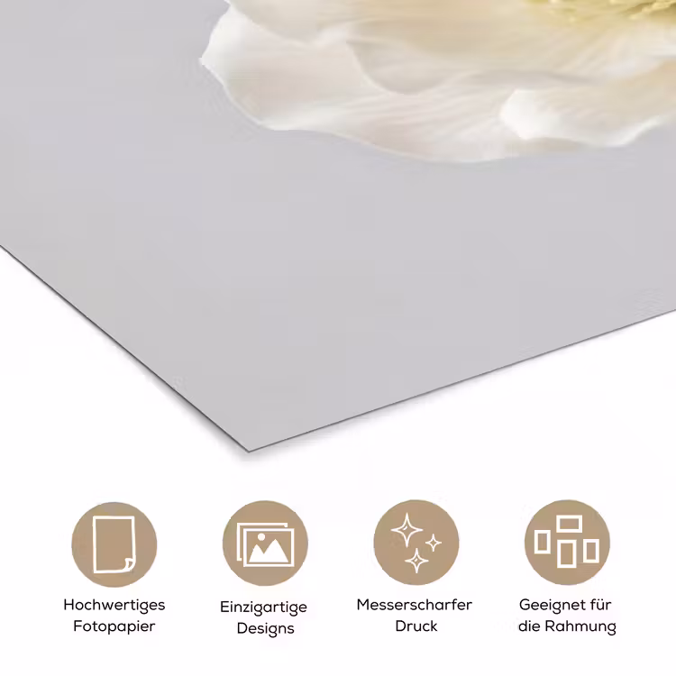 Bloem - Minimalistisch -Wit poster papier klein -tcloseup_DE