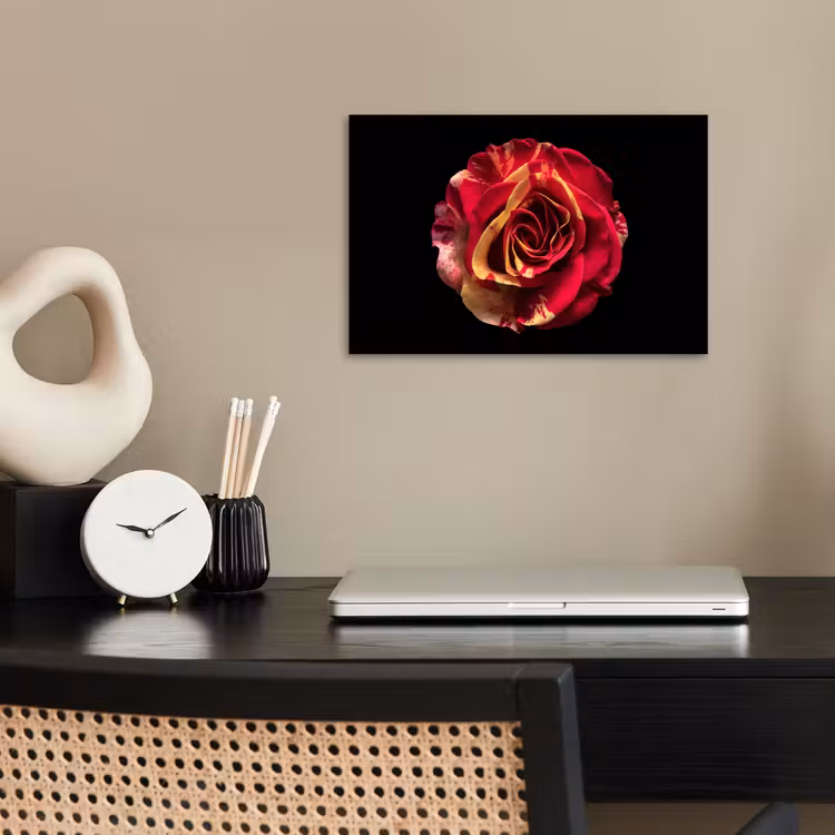 Bloem - Roos - Rood - Zwart poster papier klein -sfeer1