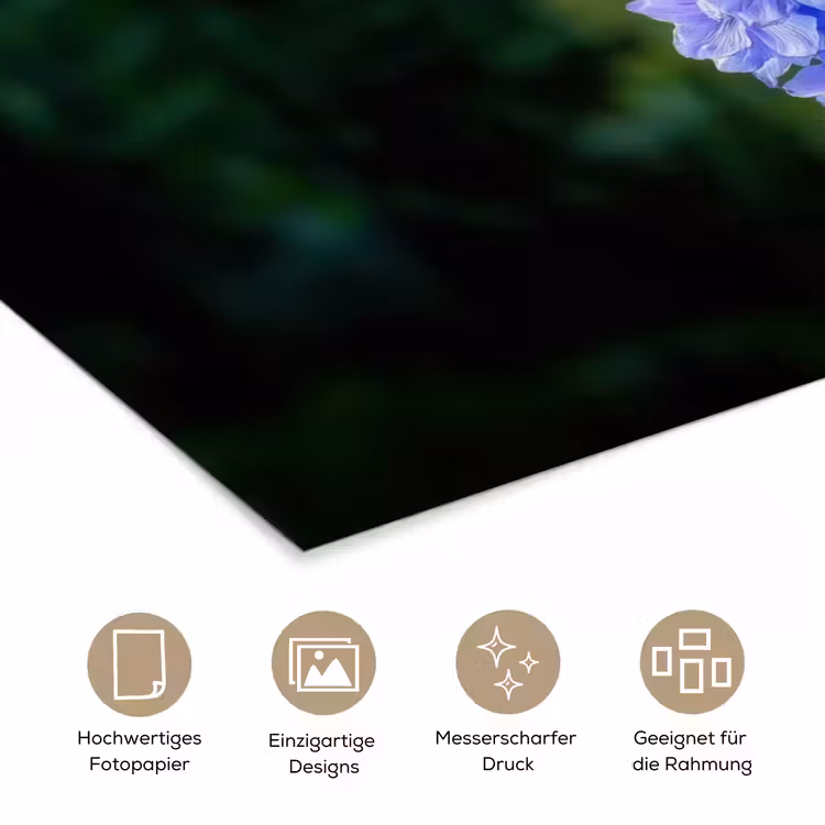 Bloemen - Blauw - Dennenboom poster papier klein -tcloseup_DE