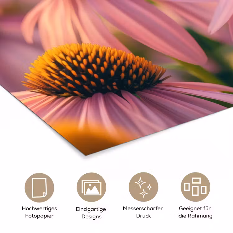 Bloemen - Paars - Bijen poster papier klein -tcloseup_DE
