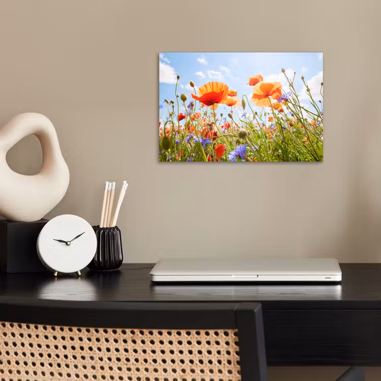 Bloemen - Klaproos - Lente - Natuur - Rood - Blauw poster papier klein -sfeer1