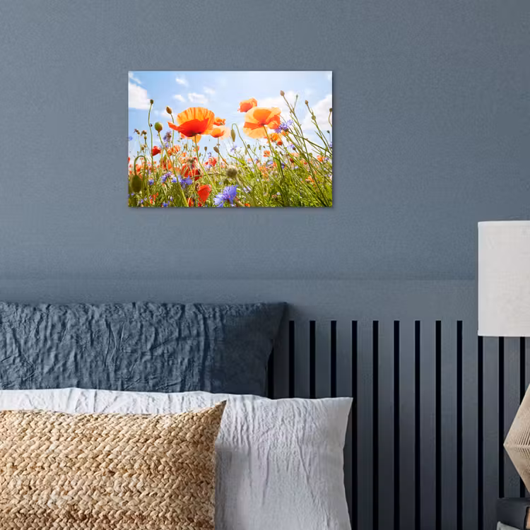 Bloemen - Klaproos - Lente - Natuur - Rood - Blauw poster papier klein -sfeer2