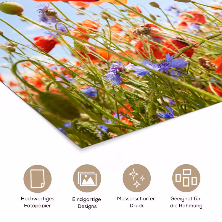 Bloemen - Klaproos - Lente - Natuur - Rood - Blauw poster papier klein -tcloseup_DE
