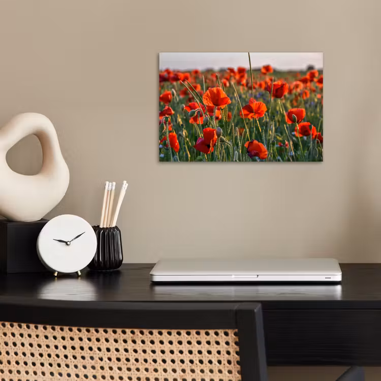 Bloemen - Klaprozen - Natuur - Rood poster papier klein -sfeer1