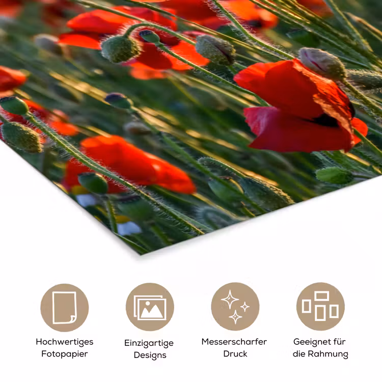 Bloemen - Klaprozen - Natuur - Rood poster papier klein -tcloseup_DE