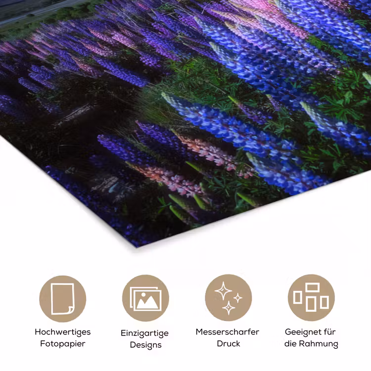 Bloemen - Nacht - Lupine - Sterrenhemel - Paars - Natuur poster papier klein -tcloseup_DE