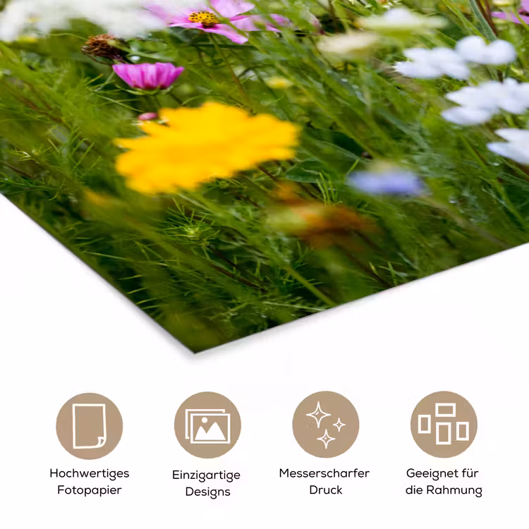 Bloemen - Natuur - Groen - Gras - Paars - Wit poster papier klein -tcloseup_DE