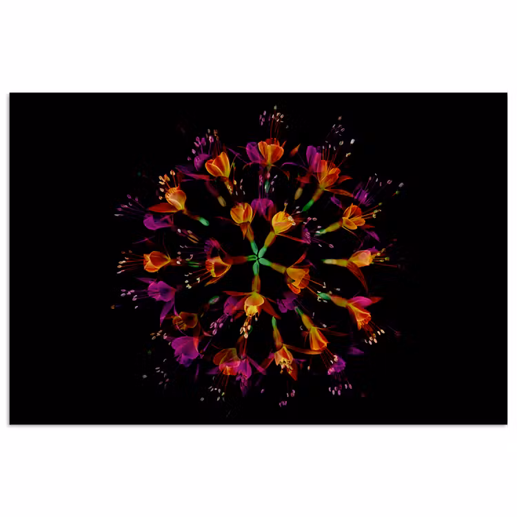 Bloemen - Oranje - Roze - Zwart poster papier klein -3d
