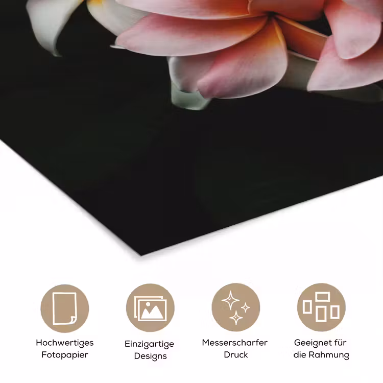 Bloemen - Roze - Zwart - Flora - Botanisch poster papier klein -tcloseup_DE