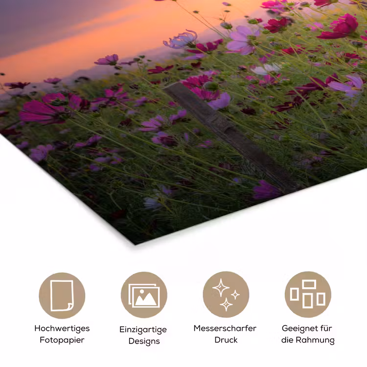 Bloemen - Roze - Zonsondergang - Natuur - Weide - Horizon poster papier klein -tcloseup_DE