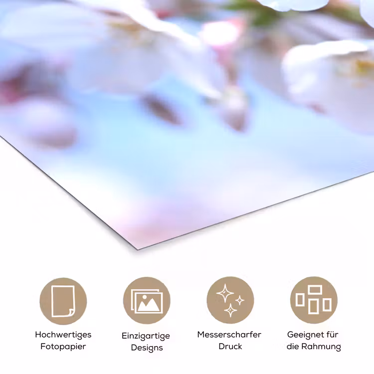 Bloemen - Sakura - Tak - Bloesem takken poster papier klein -tcloseup_DE