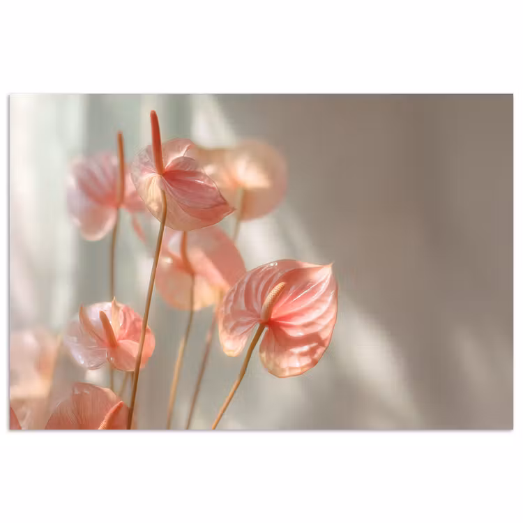Bloemen - Stelen - Roze - Schaduw poster papier klein -3d