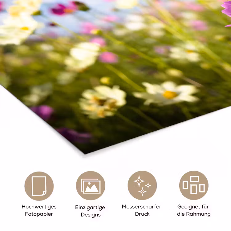 Bloemen - Wei - Paars - Gras - Wit - Wolken - Blauw poster papier klein -tcloseup_DE