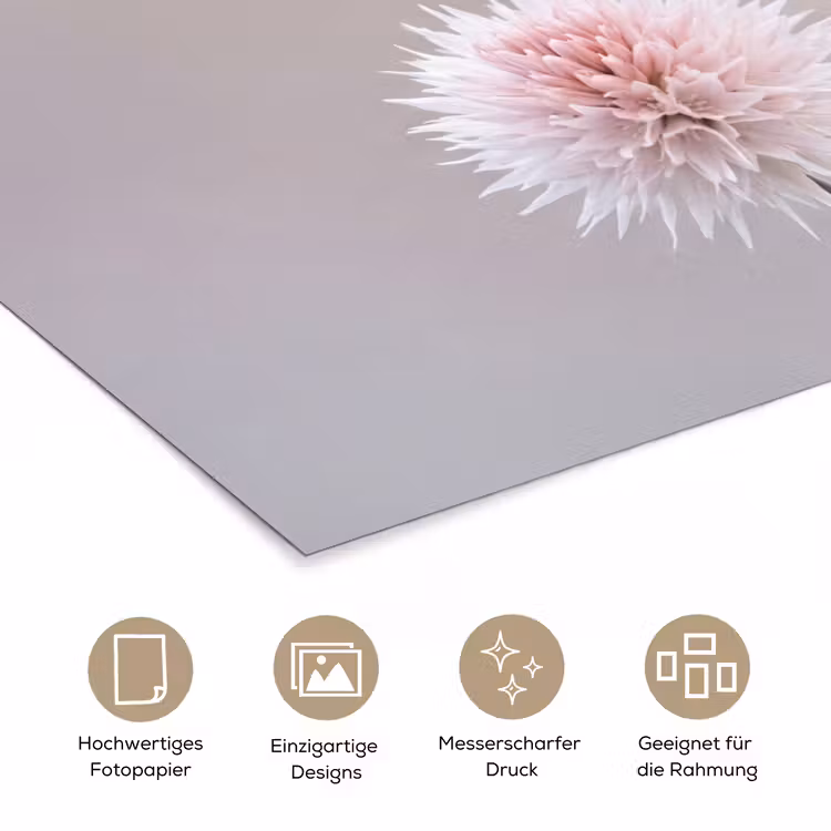 Bloemen - Bollen - Roze poster papier klein -tcloseup_DE