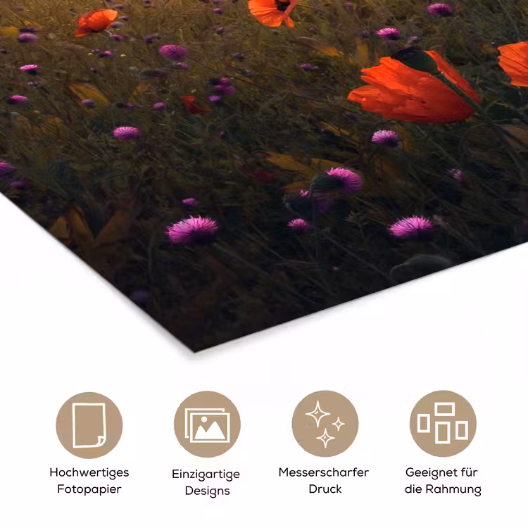 Bloemenveld - Gras - Bloemen - Planten - Zonsondergang - Oranje poster papier klein -tcloseup_DE