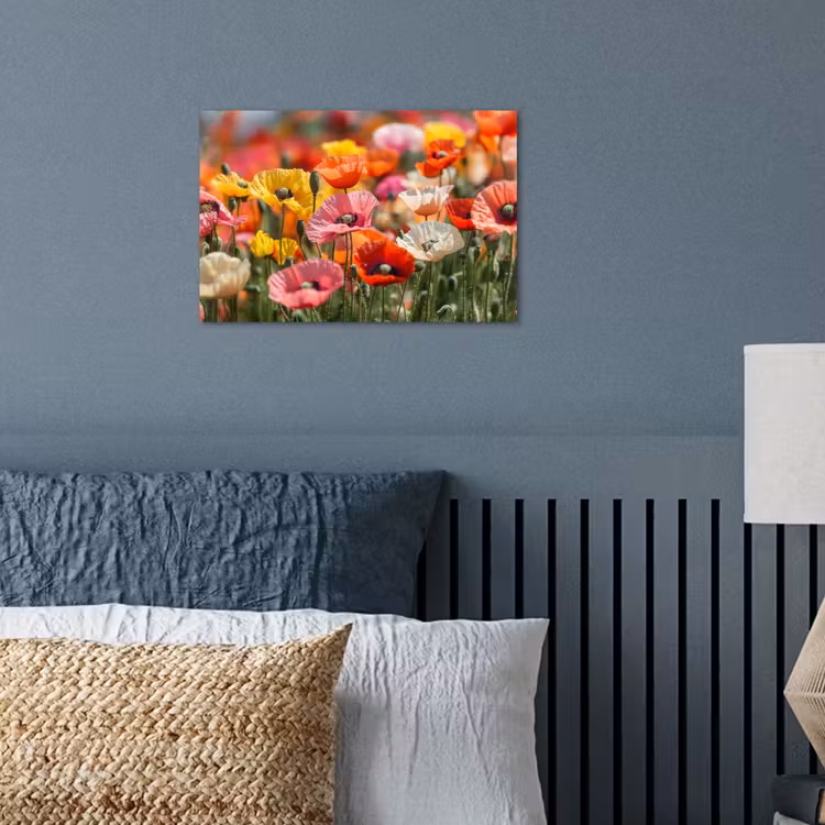 Bloemenveld - Klaprozen - Kleurrijk poster papier klein -sfeer2