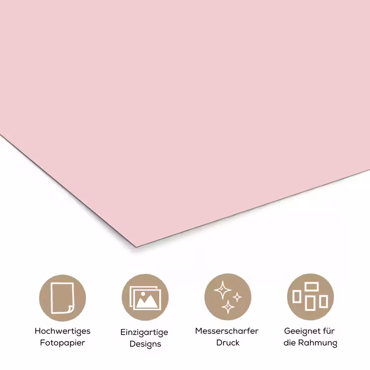 Blush - Pink - Roze poster papier klein 62 -tcloseup_DE