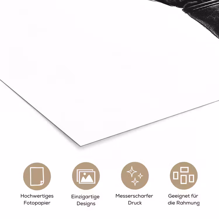 Bokshandschoen - Zwart - Hand poster papier klein -tcloseup_DE