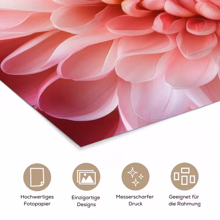 Dahlia - Bloem - Close up - Roze poster papier klein -tcloseup_DE
