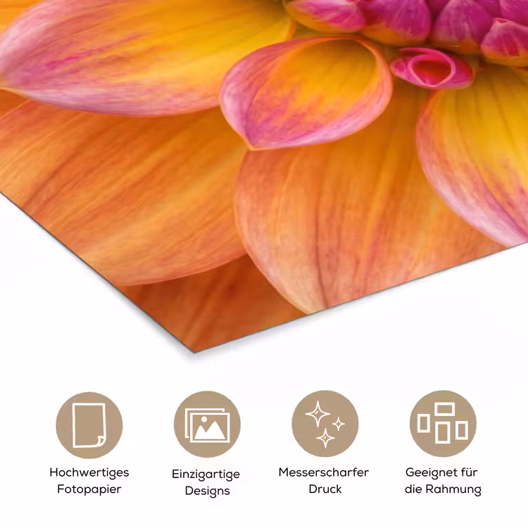 Dahlia - Bloem - Oranje poster papier klein -tcloseup_DE