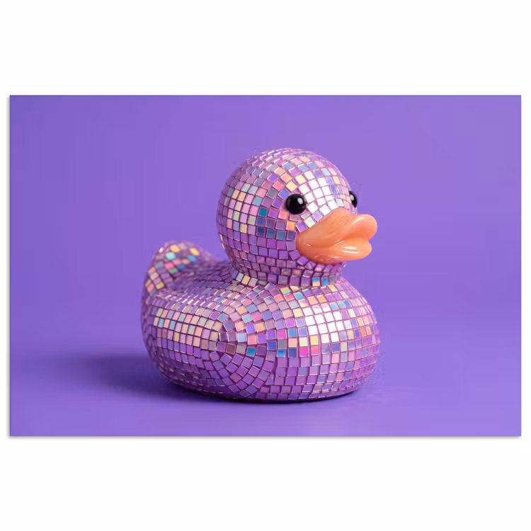 Disco - Eend - Paars poster papier klein -3d