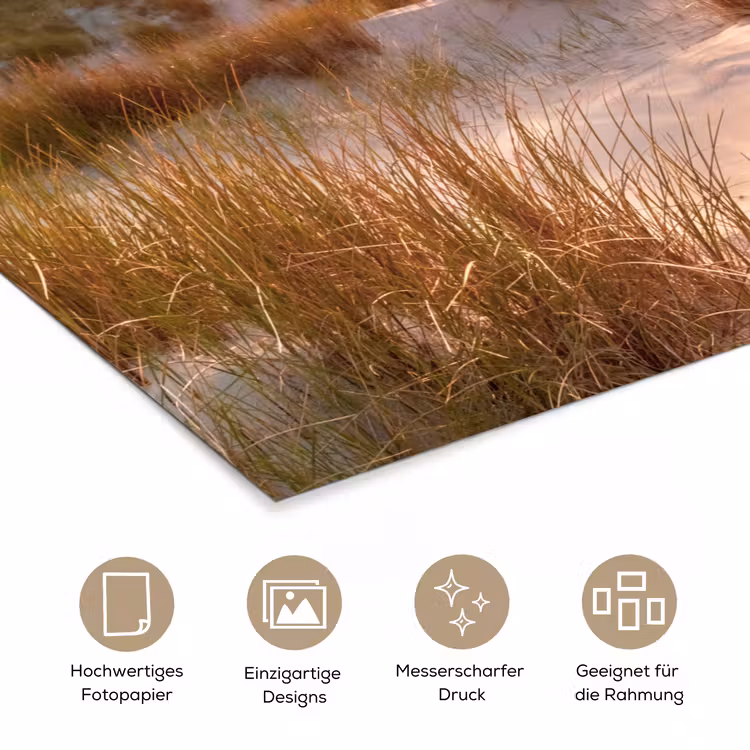 Duin - Planten - Zonsondergang - Strand - Zee poster papier klein -tcloseup_DE