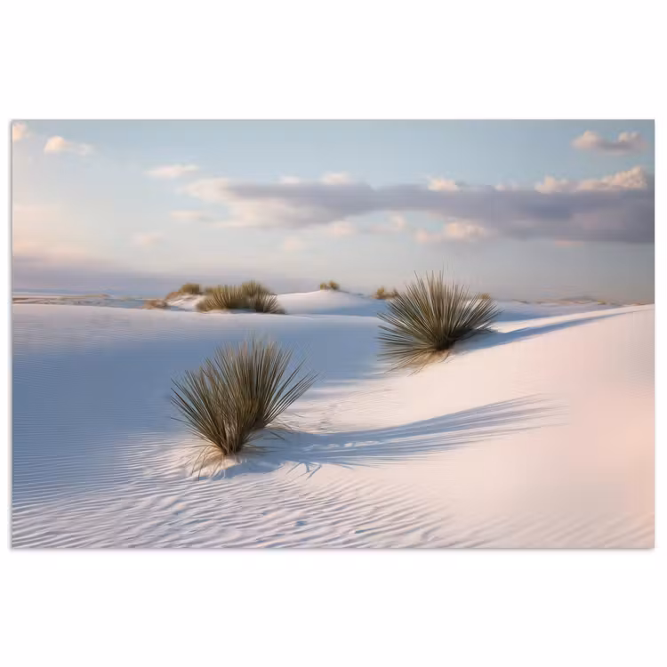 Duinen - Gras - Wolken - Beige poster papier klein -3d
