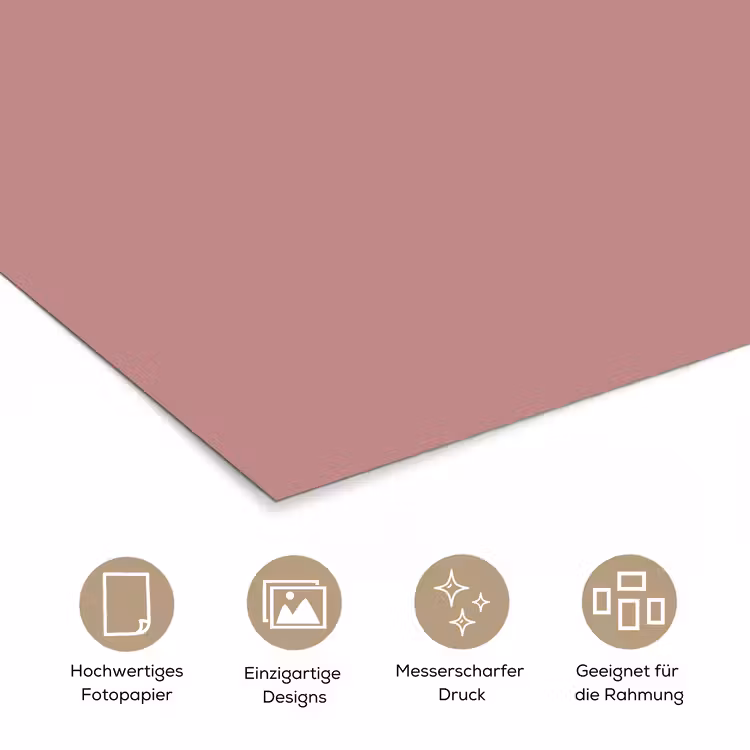 Dusty - Rose - Roze poster papier klein 62 -tcloseup_DE