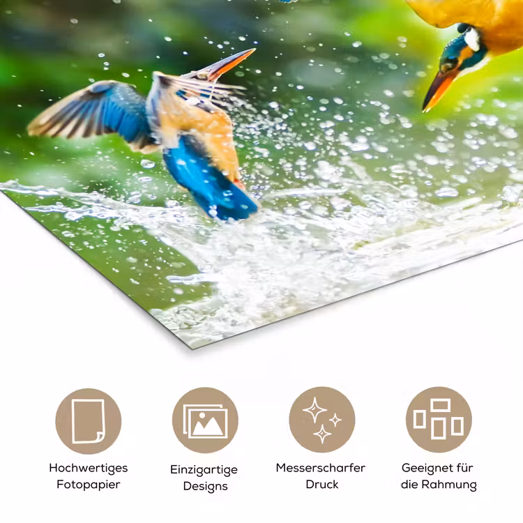IJsvogels vliegen in het water poster papier klein -tcloseup_DE
