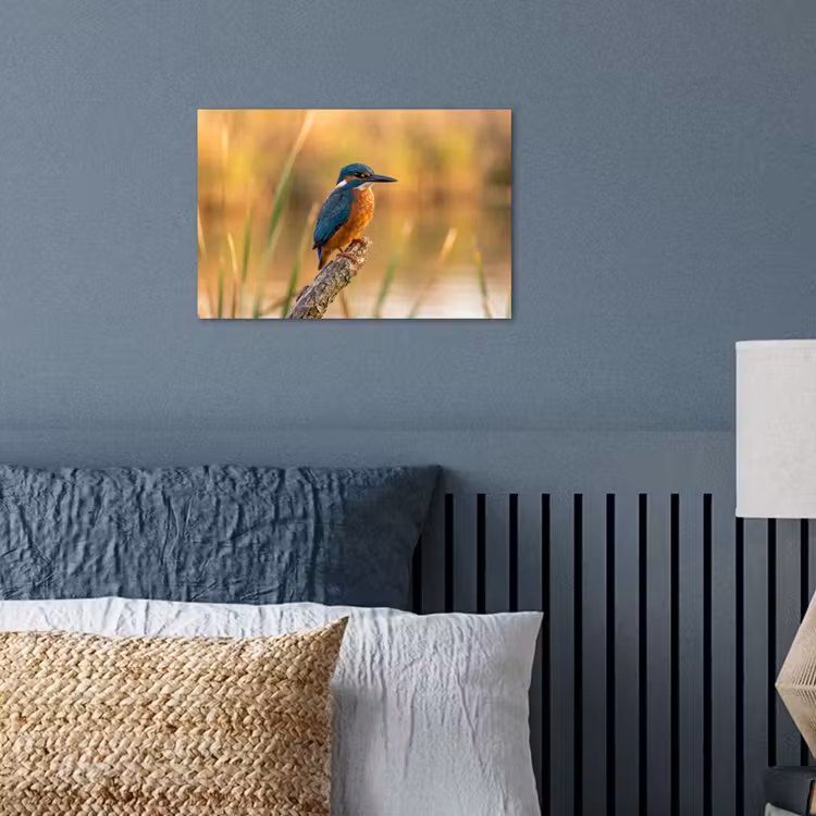 IJsvogel - Tak - Water - Kleurrijk - Levendig poster papier klein -sfeer2