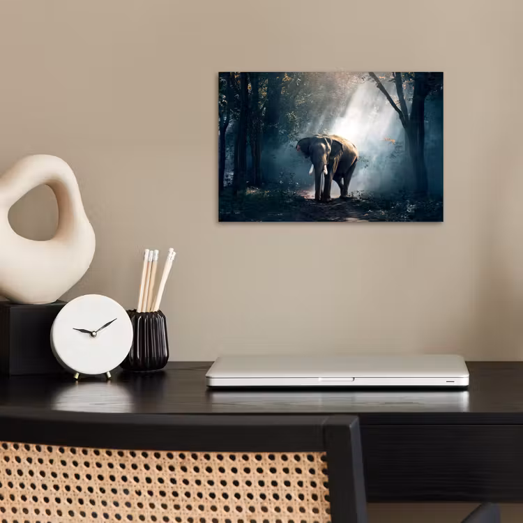Olifant - Dieren - Licht - Bos - Natuur - Wilde dieren poster papier klein -sfeer1