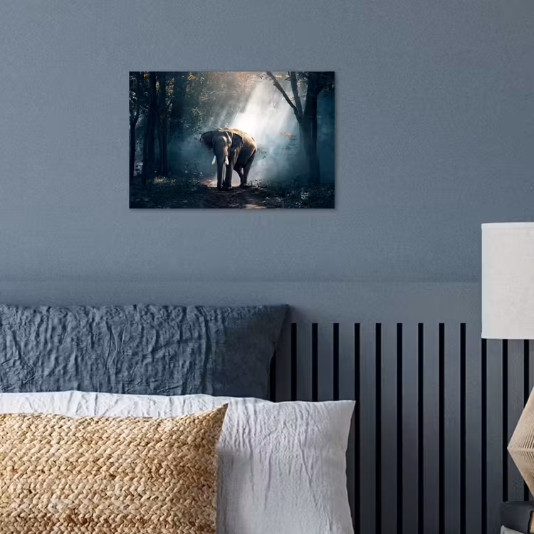 Olifant - Dieren - Licht - Bos - Natuur - Wilde dieren poster papier klein -sfeer2