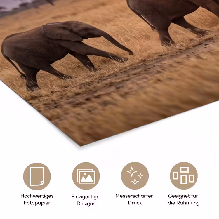 Olifanten - Savanne - Zonsondergang - Afrika - Warm poster papier klein -tcloseup_DE