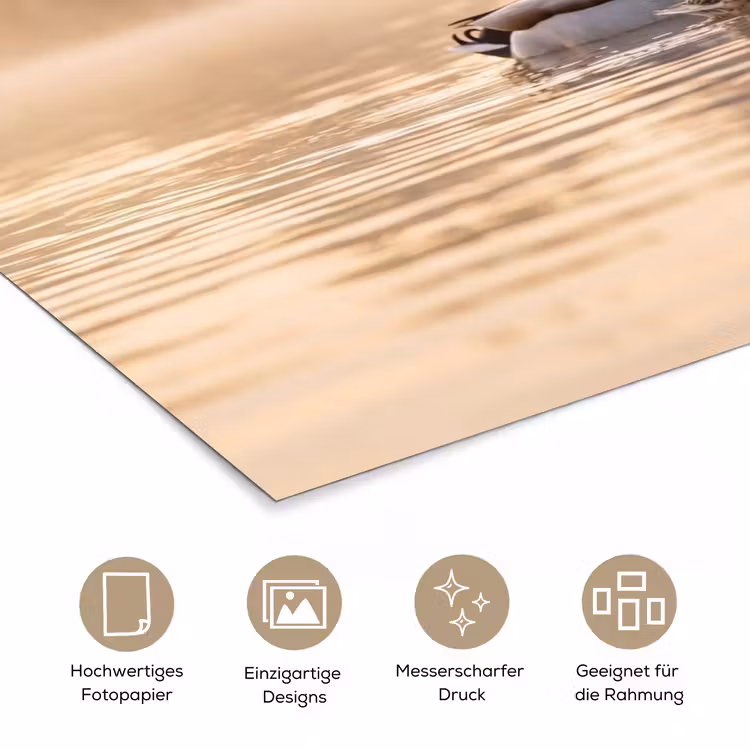 Eenden - Water - Mist - Natuur poster papier klein -tcloseup_DE