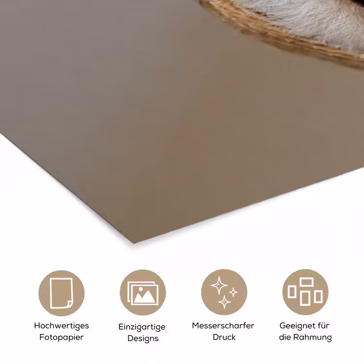 Uil - Bruin - Wit poster papier klein -tcloseup_DE