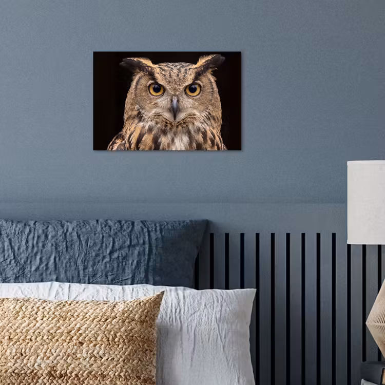 Oehoe - Uil - Portret - Bruin poster papier klein -sfeer2