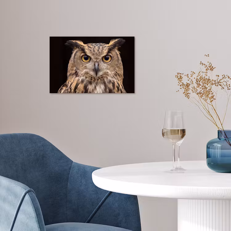 Oehoe - Uil - Portret - Bruin poster papier klein -sfeer3