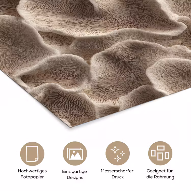 Waaiervorm - Beige - Vezel textuur poster papier klein 62 -tcloseup_DE