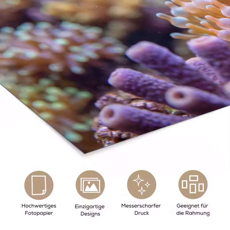 Vis - Koraal - Onderwater - Oranje - Dieren poster papier klein -tcloseup_DE