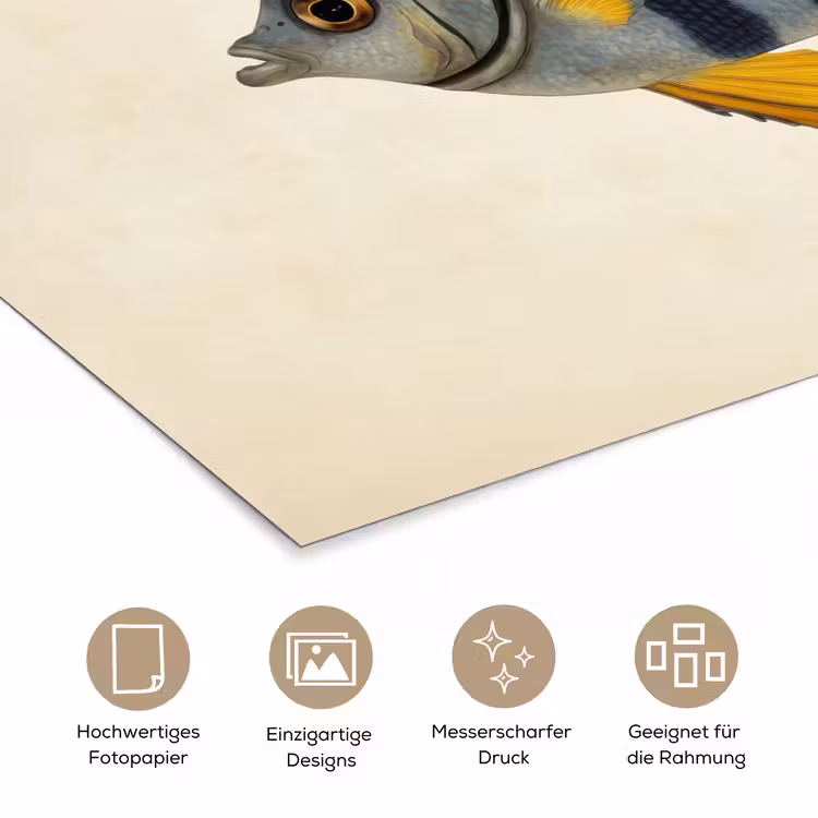 Vis - Sierlijk - Vinnen - Illustratie poster papier klein -tcloseup_DE