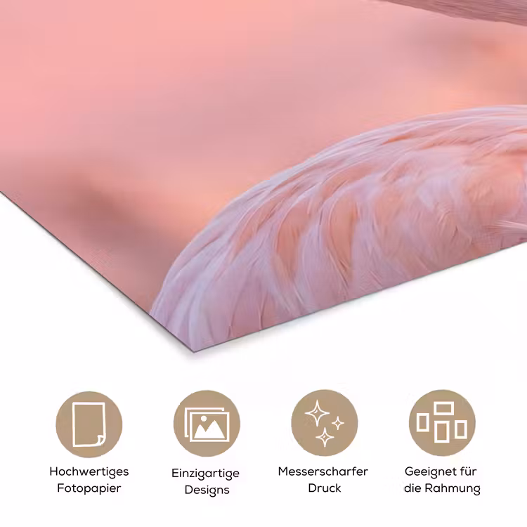 Flamingo - Portret - Roze poster papier klein -tcloseup_DE