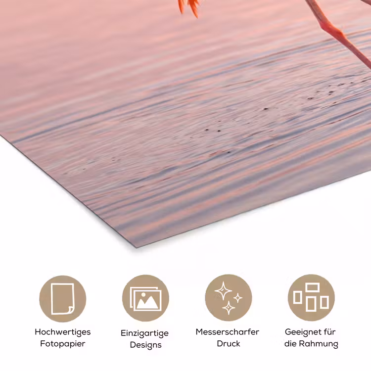 Flamingo - Water - Roze poster papier klein -tcloseup_DE