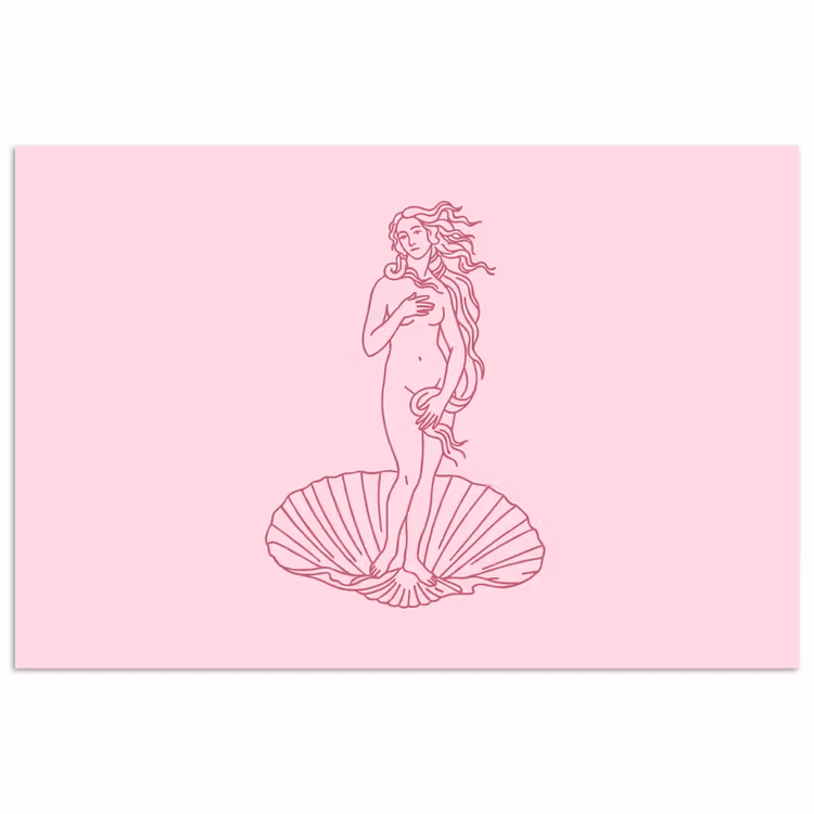Vrouw - Schelp - Kunst - Lijntekening - Roze poster papier klein -3d