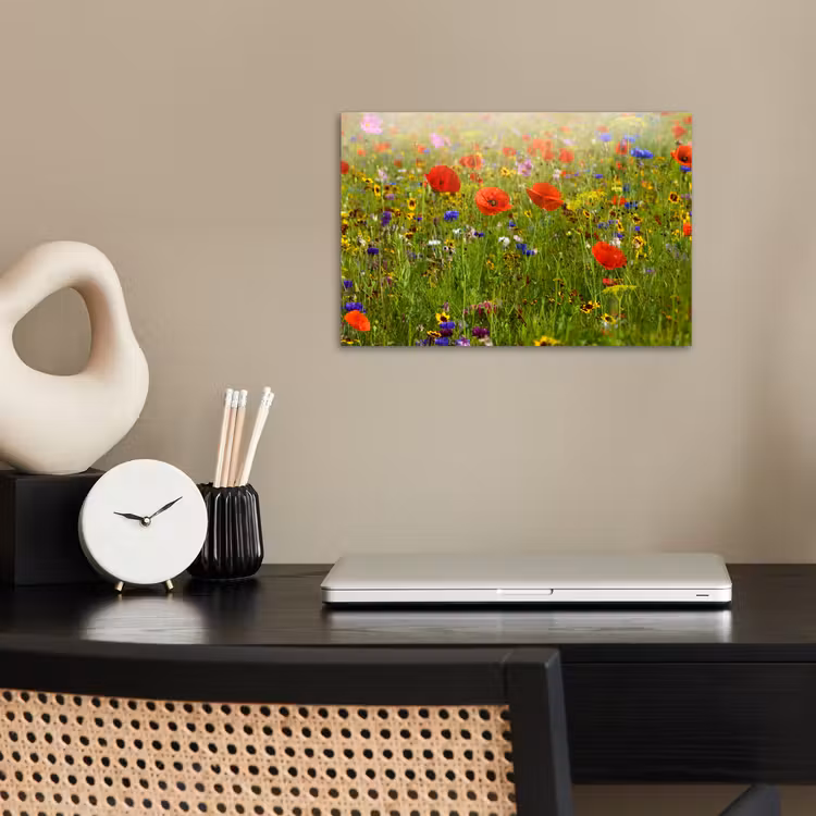 Lente - Bloemen - Rood - Klaproos - Gras - Groen poster papier klein -sfeer1